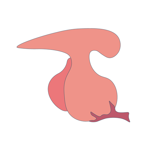 线粒体病基因检测，基因解码