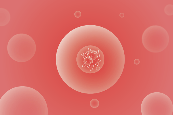 CNV,拷贝数变化遗传病、基因病、罕见病基因解码，基因检测，基因筛查与分子诊断