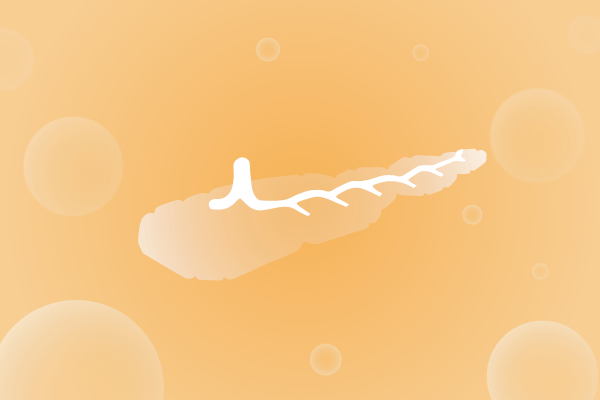 内分泌系统，腺体，胰腺遗传病、基因病、罕见病基因解码，基因检测，基因筛查与分子诊断