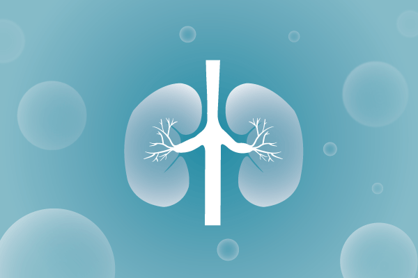 泌尿系统，肾脏，膀胱，尿病，肾不好遗传病、基因病、罕见病的基因解码，基因检测，基因筛查与分子诊断