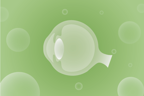 眼科，视光中心，眼科诊所，眼睛相关遗传病、基因病、罕见病的基因解码，基因检测，基因筛查与分子诊断