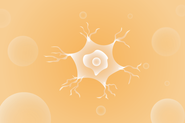 神经科肌肉系统及运动神经系统遗传病、基因病、罕见病的基因解码，基因检测，基因筛查与分子诊断