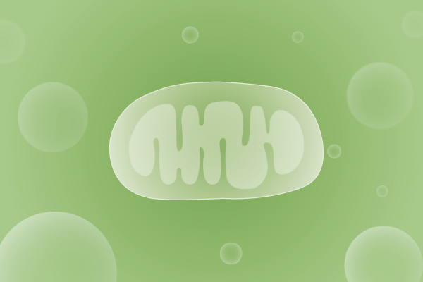 线粒体病、线粒体疾病遗传病、基因病、罕见病基因解码，基因检测，基因筛查与分子诊断