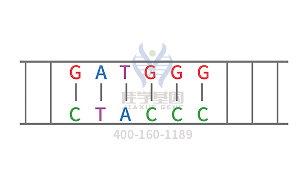 阿洛那药物<a href=http://www.sgzpaper.com/tk/jiema/cexujishu/2021/31933.html>基因检测</a>