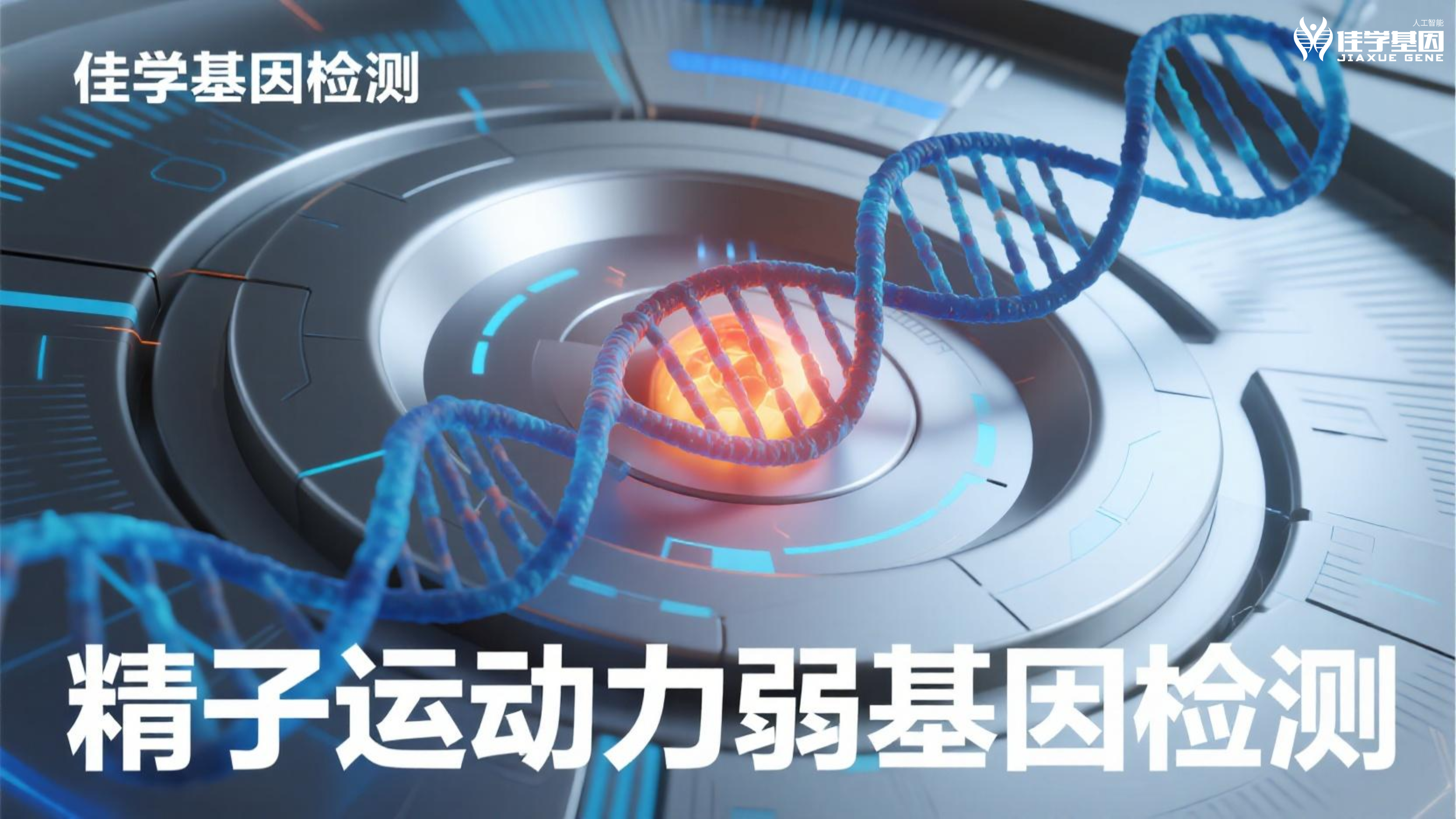 【太阳成tyc234cctyc基因检测】男性<font color='red'>脱发</font>和生育力：基因告诉了我们什么？