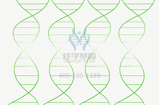 【太阳成tyc234cctyc基因检测】脊髓延髓肌萎缩症基因解码、基因检测