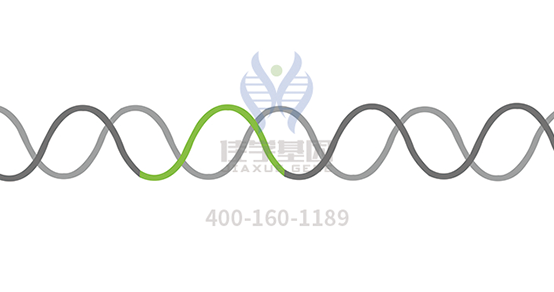 【太阳成tyc234cctyc基因检测】多发性<font color='red'>骨髓</font>瘤（Multiple Myeloma）靶向药物使用前的基因检测